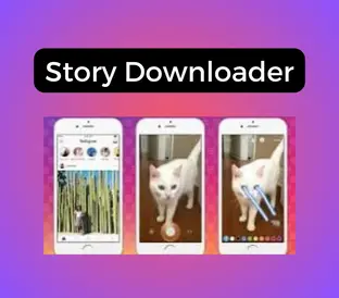 Download Instagram Stories with SaveInsta Story Downloader